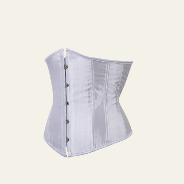 Vienna corset dress